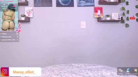 Macey Elliot Modelo Independiente online show from January 2025 08:11:01 PM