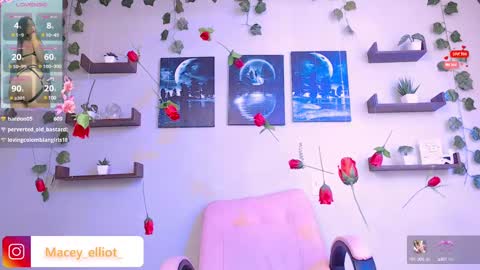 Macey Elliot Modelo Independiente online show from February 2025 07:16:01 PM