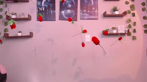 Macey Elliot Modelo Independiente online show from March 2025 02:02:02 PM