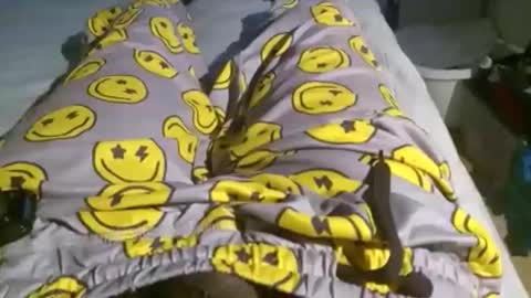 KingDingALingPattiPhatty online show from October 2025 06:52:02 PM