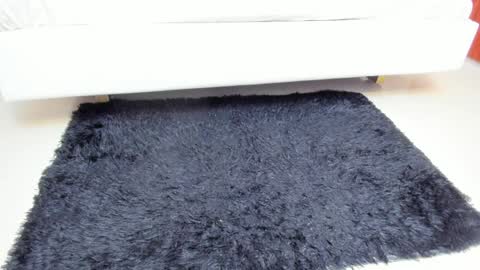 Madame Carla  online show from April 2026 12:06:01 PM