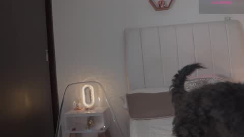 Valentina   1030   530  -  online show from February 2026 06:21:01 AM