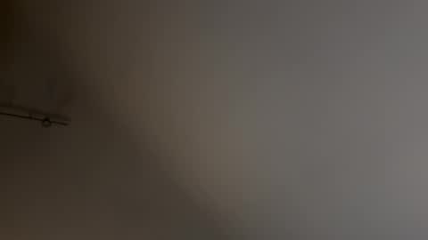 Snapshot of maerte chatting on December 2024 10:59:01 PM maerte online show from December 2024 10:59:01 PM