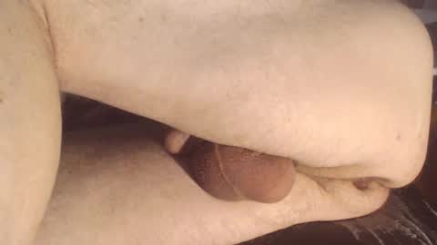 maestro2017 online show from January 2025 05:33:01 PM