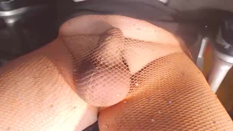 maestro2017 online show from March 2025 09:54:02 PM