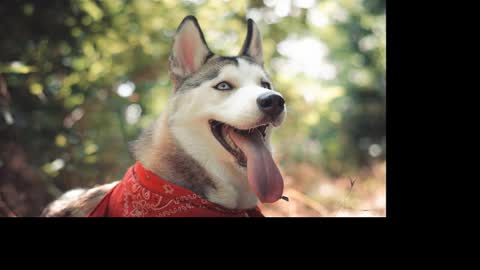 magic_katarina_ online show from January 2025 08:31:02 AM