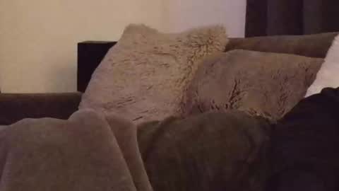 Snapshot of magic_passionitaliano chatting on March 2026 06:36:01 PM magic_passionitaliano online show from March 2026 06:36:01 PM