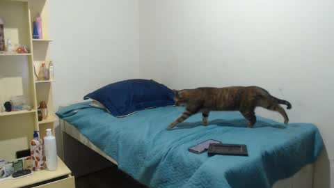 MAKENNAA online show from March 2025 09:12:02 AM