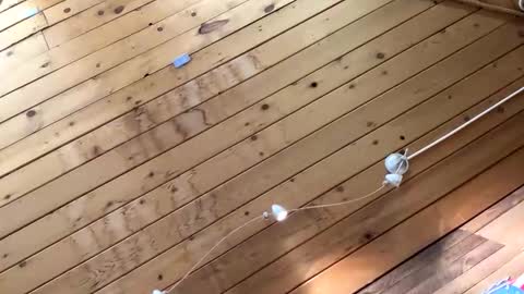 makeyousquirt1969 online show from October 2025 07:01:02 AM