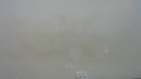 mamuuu_ online show from January 2026 07:21:01 AM