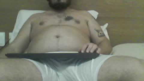 manatee bear online show from December 2025 02:30:02 AM