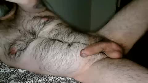 Man Dime Bear17 online show from December 2024 05:31:01 AM