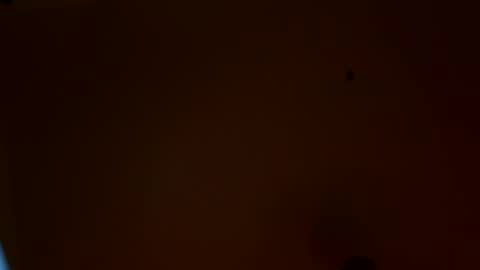 Snapshot of maniak_paraphiliacz chatting on July 2026 03:20:02 AM Jan and Man online show from July 2026 03:20:02 AM