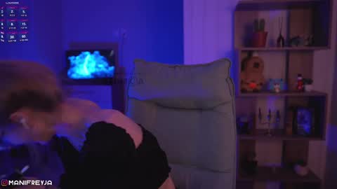 Snapshot of manifreyja chatting on December 2024 12:41:02 AM Amelie online show from December 2024 12:41:02 AM