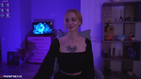 Snapshot of manifreyja chatting on December 2024 04:34:02 AM Amelie online show from December 2024 04:34:02 AM