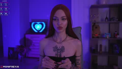 Snapshot of manifreyja chatting on December 2024 11:28:02 PM Amelie online show from December 2024 11:28:02 PM