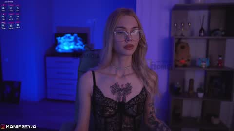 Snapshot of manifreyja chatting on December 2024 08:23:02 PM Amelie online show from December 2024 08:23:02 PM