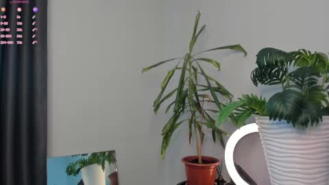Snapshot of manita_misti chatting on May 2026 10:01:02 AM Manita online show from May 2026 10:01:02 AM