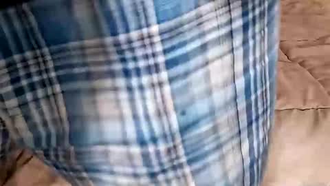 Dickinabox online show from September 2025 09:47:02 PM