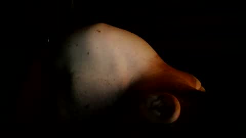 Snapshot of mantittsndick chatting on August 2026 08:35:02 AM guywittitsndick online show from August 2026 08:35:02 AM