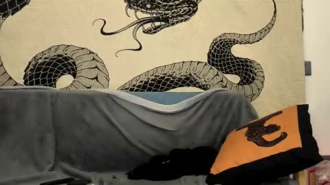 maodom online show from February 2025 09:39:01 PM