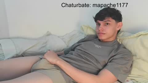 Snapshot of mapache1177 chatting on May 2026 08:27:01 PM mapache1177 online show from May 2026 08:27:01 PM