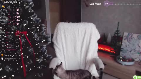 Marcy online show from December 2024 06:10:01 AM