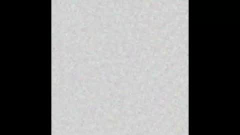 Marceline online show from December 2025 12:14:01 PM