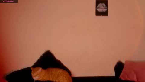 mariana williams online show from February 2025 01:00:02 AM