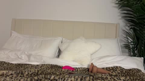 Snapshot of mariareev chatting on December 2025 12:41:02 AM mariareev online show from December 2025 12:41:02 AM