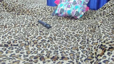 Marie   online show from January 2025 01:56:02 PM