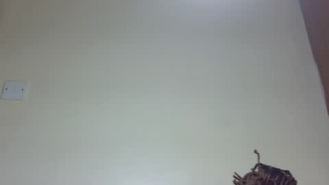 Marie online show from June 2026 08:02:01 PM