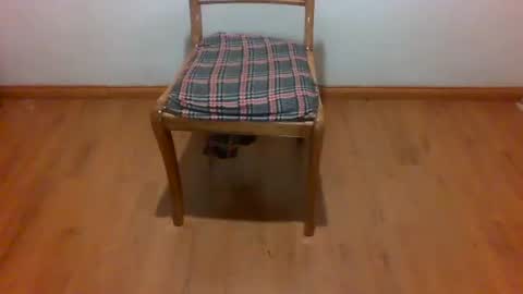 Maripaula369 online show from February 2025 03:23:02 AM