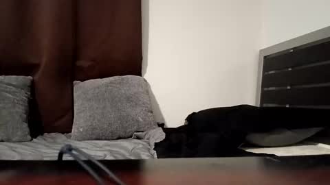 markbwcusmc online show from January 2026 02:10:01 PM