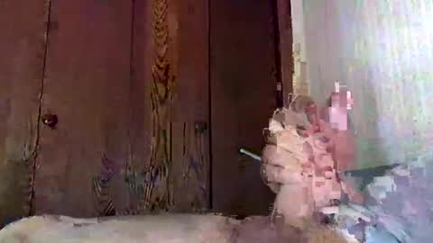 marmiles58 online show from September 2025 09:38:02 PM