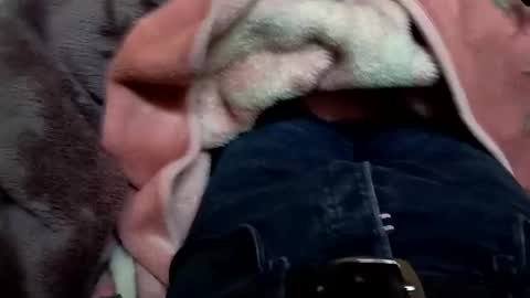 marocreda33 online show from March 2025 05:57:02 PM