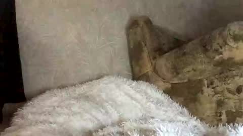 Snapshot of martaluna_ chatting on November 2025 07:54:01 AM Marta online show from November 2025 07:54:01 AM