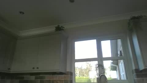 martinrgbxxxx online show from February 2026 09:28:02 AM