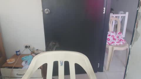 Snapshot of maryam_arabicmilk chatting on January 2025 03:07:01 PM maryam_arabicmilk online show from January 2025 03:07:01 PM