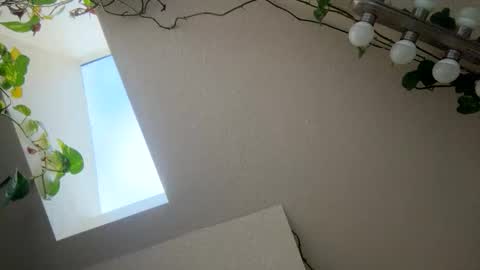 masturbatingmariamiller online show from November 2025 04:53:01 PM