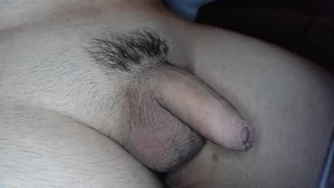 Snapshot of mateo_sp chatting on January 2025 07:00:01 AM mateo_sp online show from January 2025 07:00:01 AM