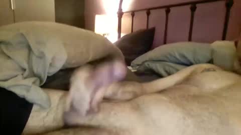 matrixdog69 online show from November 2025 04:06:02 PM