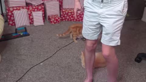 Matt Cash online show from December 2024 02:12:01 AM