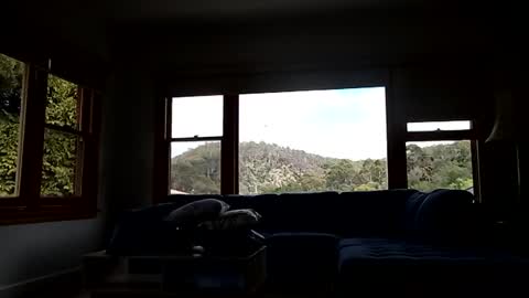 mattlesnake_101 online show from February 2026 12:40:02 AM