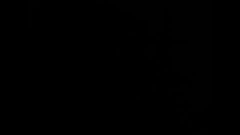 NiceBigJuicyHead online show from September 2025 11:00:02 AM