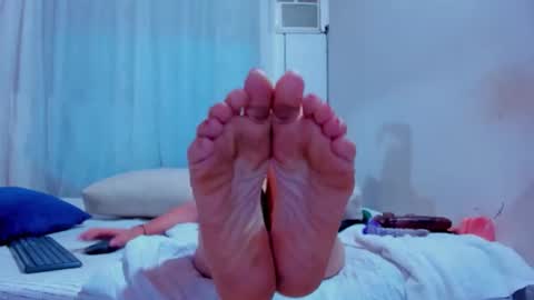 Alicia      STREAMING SCHEDULE 1400 - 2130 GMT-5 online show from November 2025 07:31:02 AM