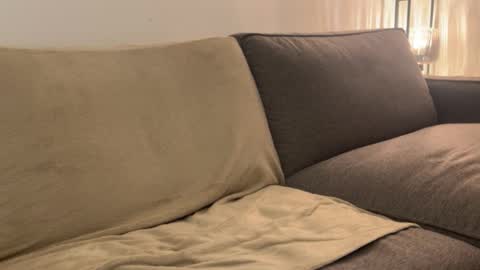    online show from February 2026 07:23:01 AM