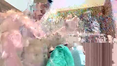 Sebastian online show from December 2024 04:46:02 PM