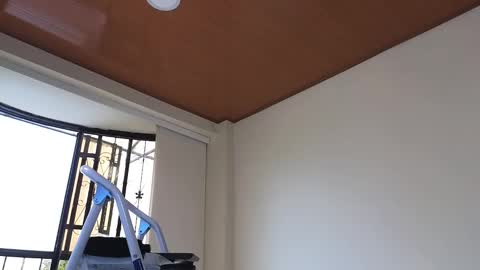 Sebastian online show from December 2024 07:32:01 PM