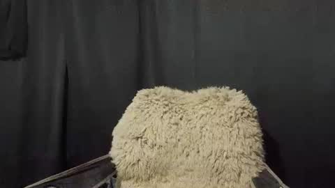 Max online show from January 2025 11:16:01 AM